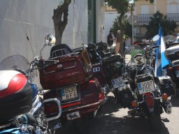 XVII Concentracion - 2010